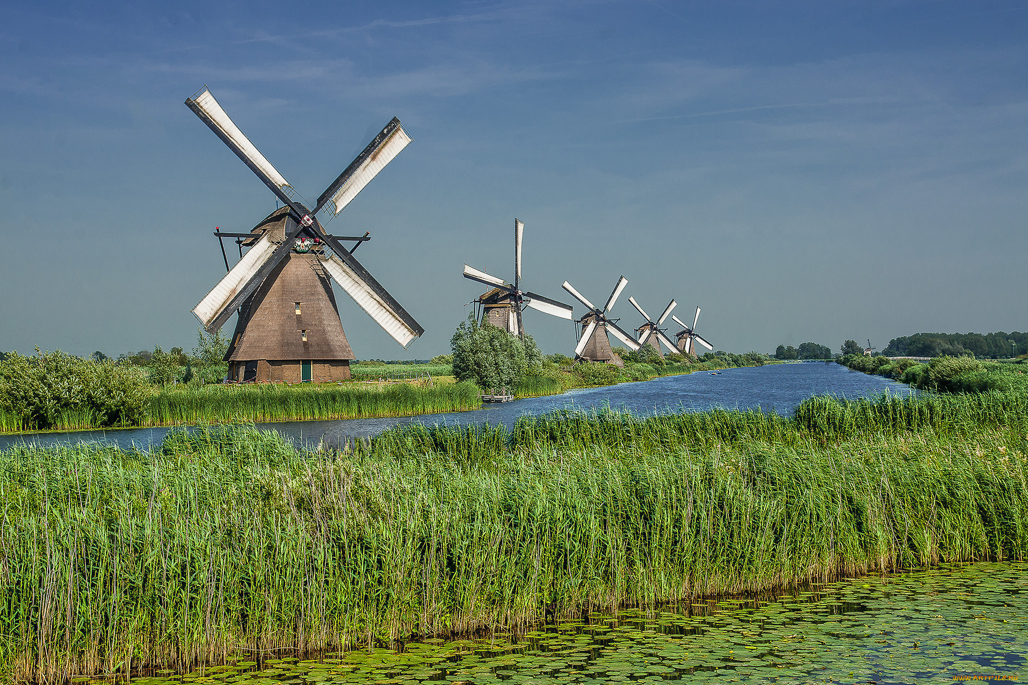 Современная мельница. Ветряные мельницы в Нидерландах. Мельница Геншин. Багаевская мельница.